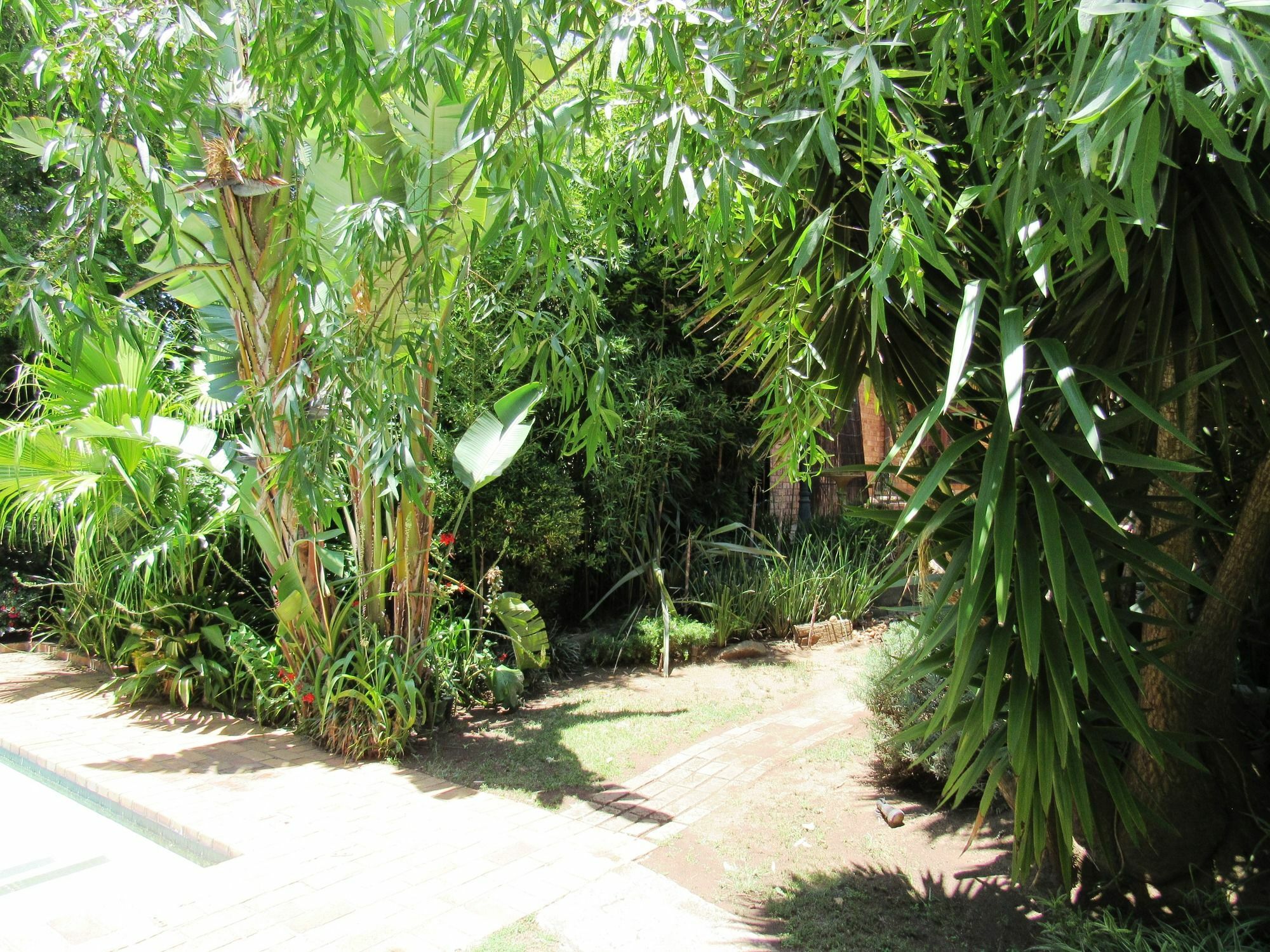 House On York Hotel Johannesburg Bagian luar foto